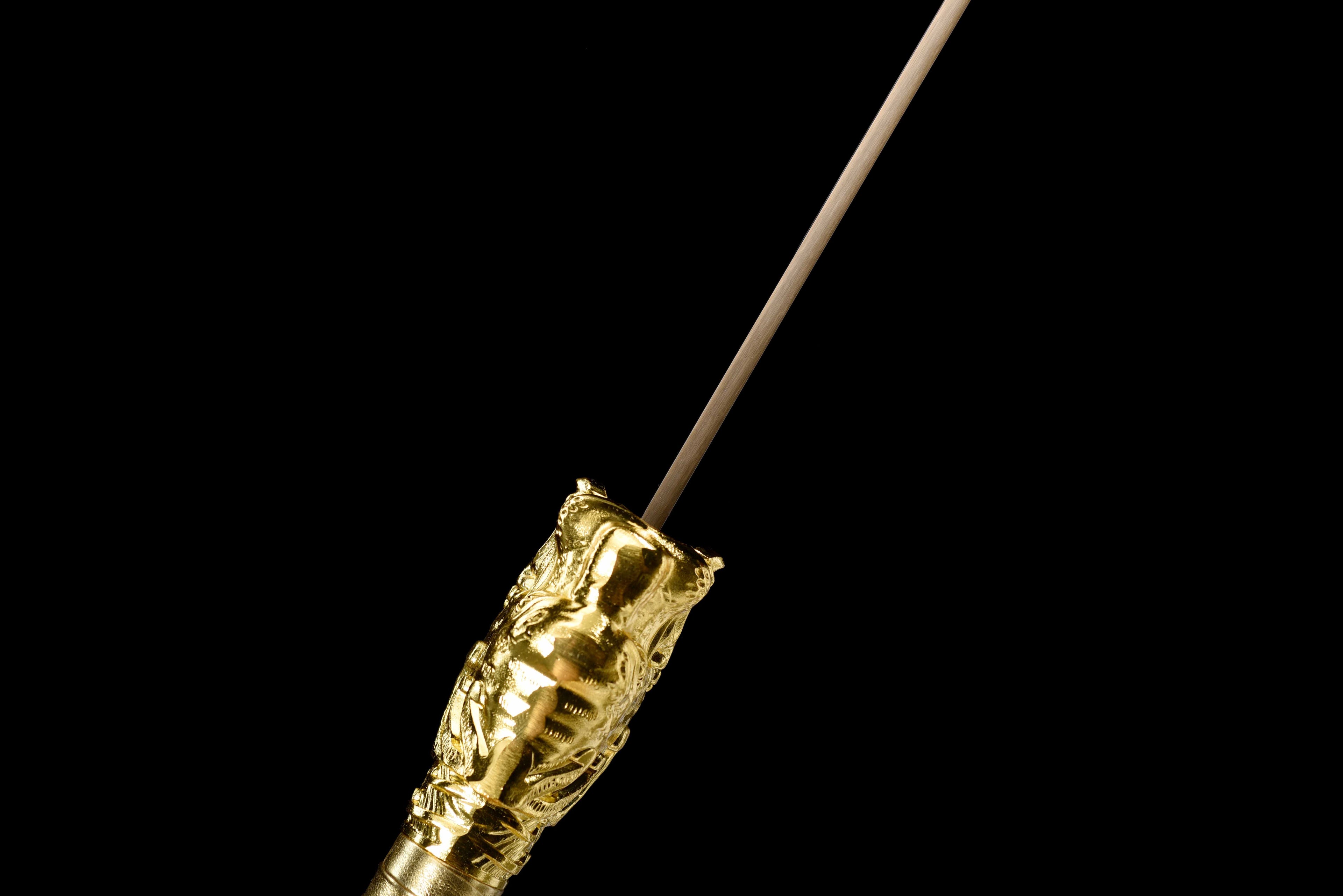 绣春刀"Tiger's Roar" Xiu Chun Dao - Ming Dynasty Chinese Sword, High Manganese Steel Modern Forged Blade, Alloy Fittings & Lacquered Wood Scabbard | Full-Tang Functional Collectible
