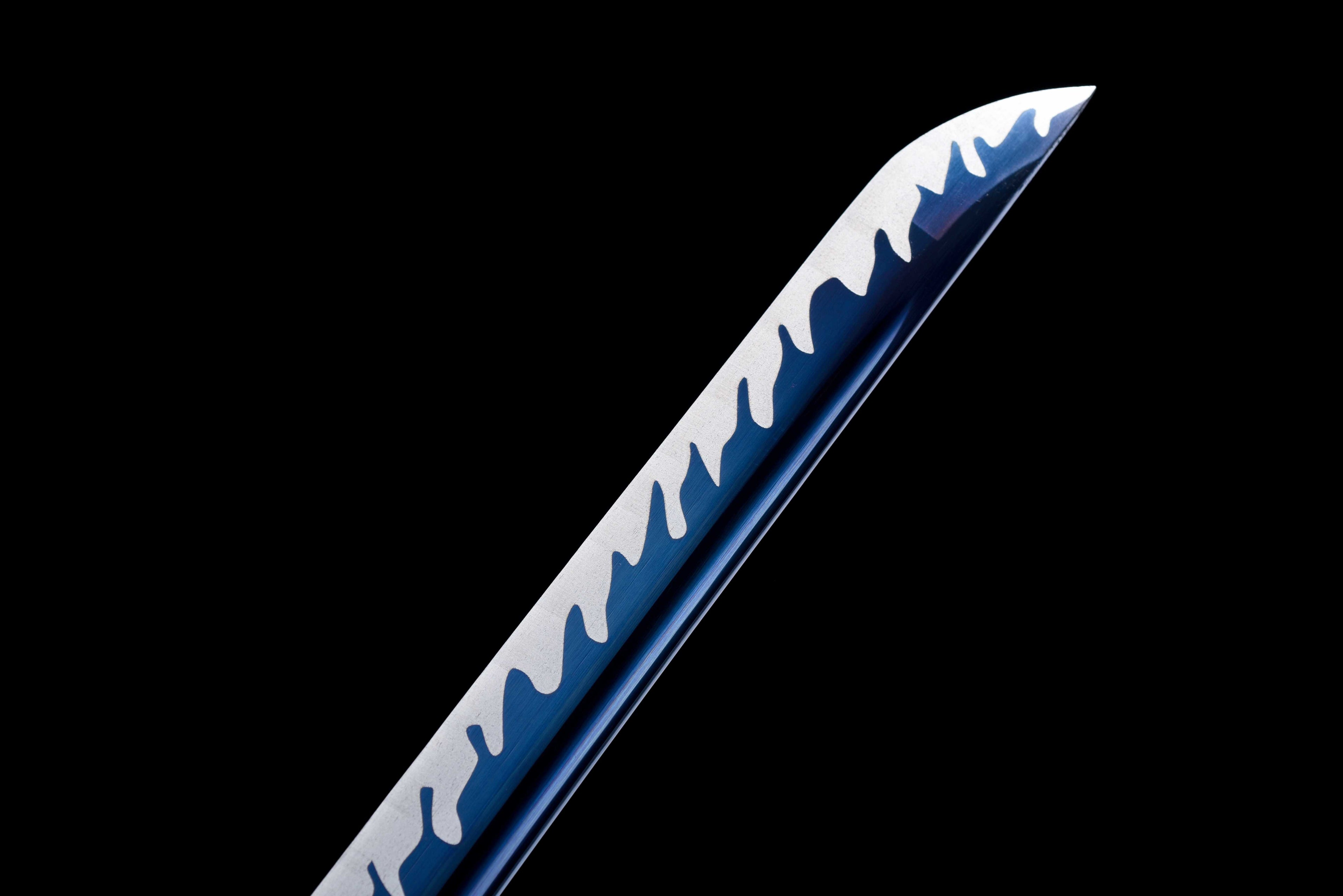 龍御  The Sword of the Warrior of the Dragon and the World